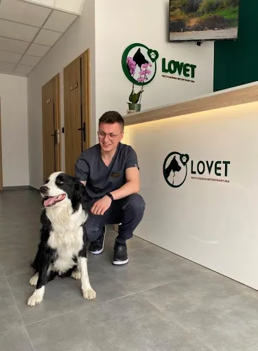 LOVET Przychodnia Weterynaryjna